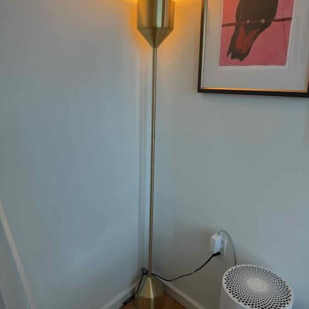 Mid-Century Barbell Floor Lamp - Brass